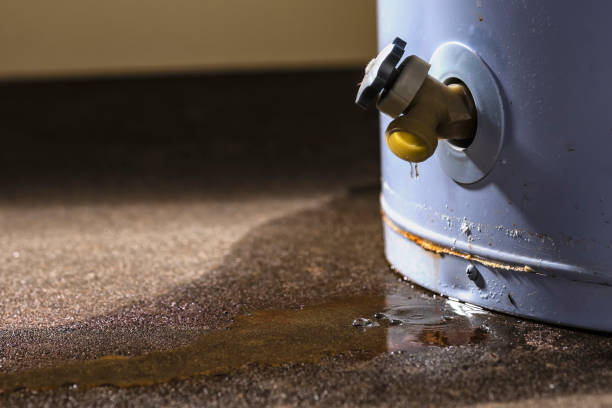Best Residential water damage restoration  in Kendall West, FL