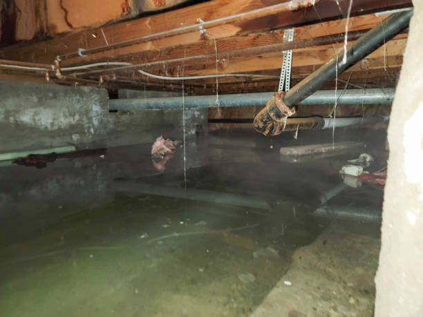 Best Fire Damage Restoration  in Kendall West, FL