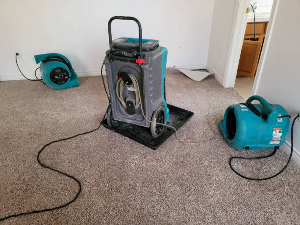 Best Water damage restoration process  in Kendall West, FL