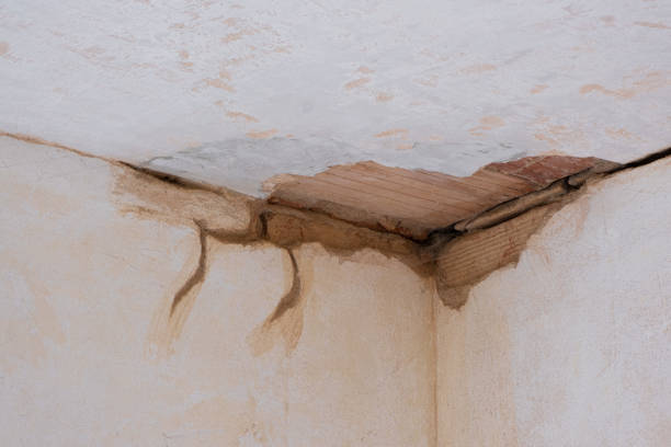 Best Water damage cleanup near me  in Kendall West, FL