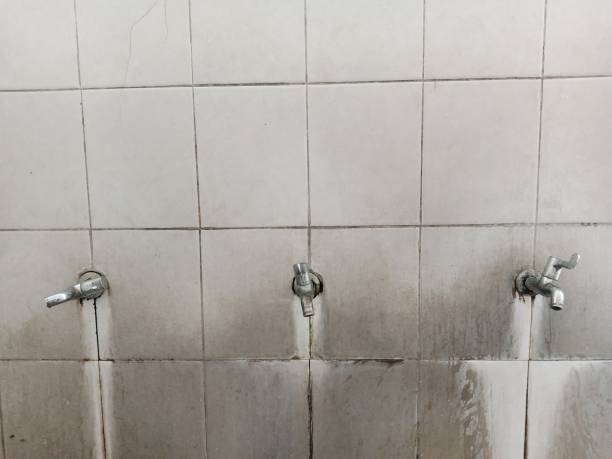 Best Carpet water damage restoration  in Kendall West, FL