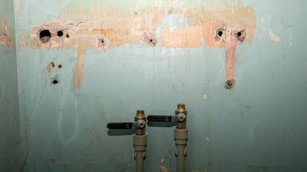 Best Mold removal after water damage  in Kendall West, FL