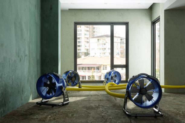 Best Water damage restoration near me  in Kendall West, FL